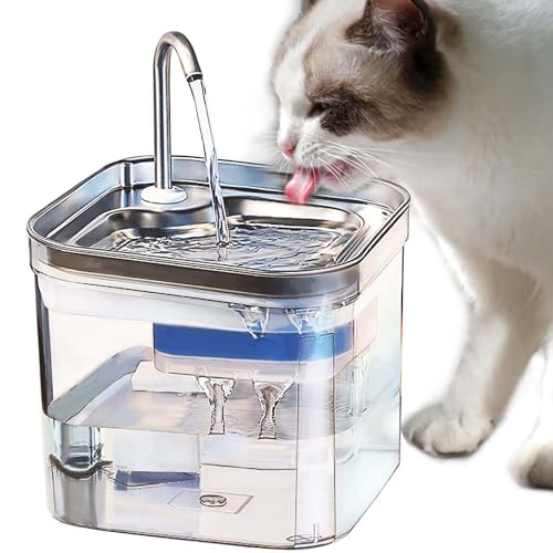 Kitty Wasserbrunnen, 2,6 l, Haustier-Wasserspender mit transparentem Tank, 304 Edelstahl-Wasserhahn und Deckel, für Katzen im Inneren von Dcpshtry