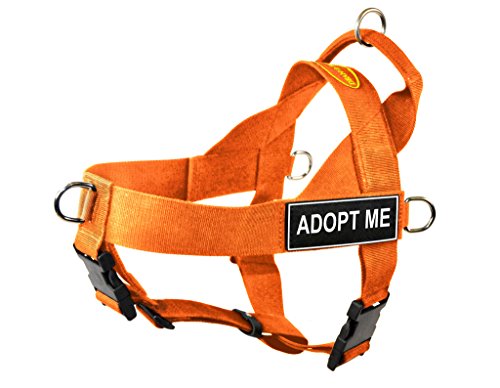 Dean & Tyler DT Universal No Pull Dog Harness with Adopt Me Patches, Medium, Orange von Dean & Tyler