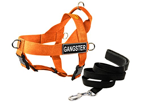 Dean & Tyler DT Universal No Pull Dog Harness with Gangster Patches and Puppy Leash, Orange, X-Large von Dean & Tyler