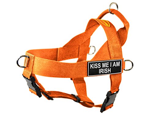 Dean & Tyler DT Universal No Pull Dog Harness with Kiss Me I Am Irish Patches, X-Large, Orange von Dean & Tyler