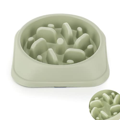 2Pcs Slow Feeder Dog Bowl, Hundenapf Slow Feeder, Interessanter Interaktiver Hundenapf, Mit Rutschfester Matte Rutschfester Hundenapf Mit Anti-Schluck-Funktion (Grün) von Deautie