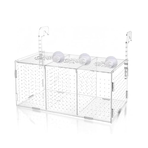 Ablaichkasten Aquarium, Acryl Fischzuchtbox, Zuchtbox Aufzuchtbecken Aquarium, Brutkasten für Fische, Hochtransparente Fischbecken für Zucht, Isolierung und Fütterung von Deautie