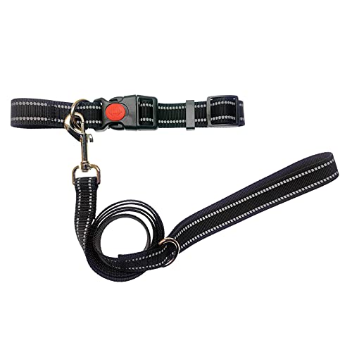 Decdeal Haustiergeschirr Katzenbrustgeschirr Set Hundeweste Hundeleine Reflektierende Hundeleine mit Halsband für mittelgroße Hunde 140 cm von Decdeal