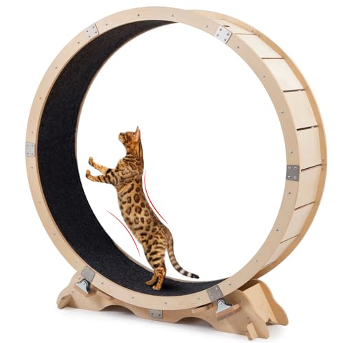 Decent Vrvege Katzenrad Laufband für Indoor-Katzen, 109,2 cm großes Katzenübungs-Laufrad aus Holz, Katzen-Trainingsgerät, einfache Montage und stabil für Katzen, Gewichtsverlust und Gesundheit von Decent Vrvege