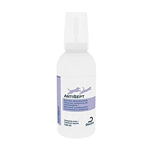 ANTISEPT 100 ml von Dechra