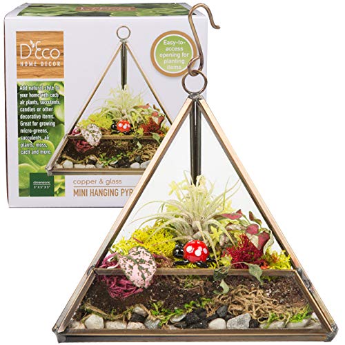 D'Eco Terrarium Glas gesperrt, Sukkulenten Pflanzen im Gewächshaus (Dreieck) von Deco 79