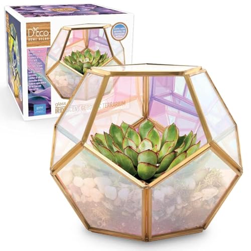 D'Eco Schillerndes Glas-Terrarium, geometrisches Pflanzgefäß, 17,8 x 17,8 x 15,2 cm, goldfarbene Kugel, Pflanzgefäß, Terrarium für Sukkulenten, Pflanzen, Moos, Zuhause, Hochzeit und Büro, von D'Eco