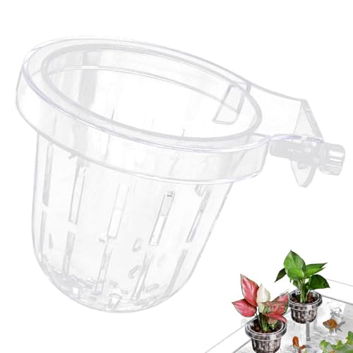 Decorhome Aquarium-Pflanzenhalter, transparent, Aquarium-Pflanzenhalter, transparent - Hydroponischer Pflanzenkorb | Hängende Wasserpflanzgefäße für Aquariendekorationen, Pflanzen für lebende von Decorhome