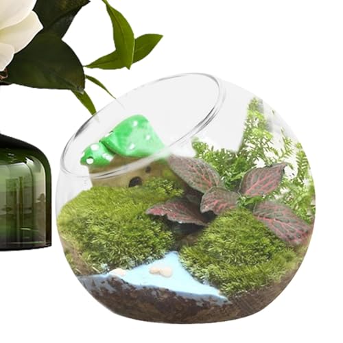 Decorhome Fischschalen-Vase – Runder Glas-Terrarium-Übertopf Und Blumentopf | Luftpflanzenbehälter Für Sukkulenten-Miniaturlandschaften | Moderner Blumentopf Aus Transparentem Glas | Flasche Kristallg von Decorhome