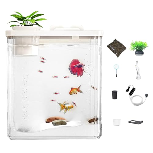 Decorhome Tisch-Aquarium – Kleines Aquarium Mit Luftpumpe Und Umgebungslicht | Modernes Acryl-Aquarium Mit Künstlichen Blumen Für Die Tischdekoration | Ultratransparentes Rahmenloses Aquarium Für Bett von Decorhome