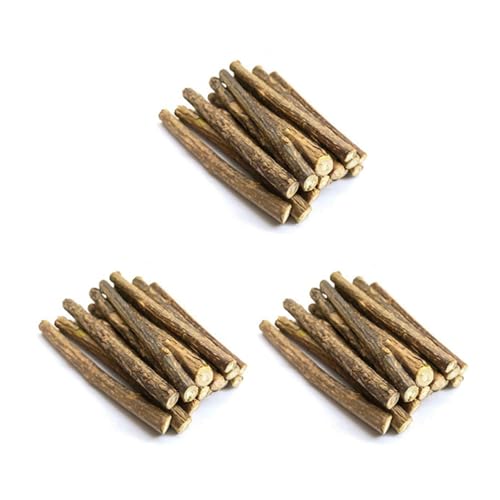 Decqerbe 60 Stück Natürliche Silberrebe Sticks für Katzen Minzen Sticks Matatabi Kauen Sticks ZäHne Molar Kauen Spielzeuge für die Reinigung Von Katzen ZäHnen von Decqerbe