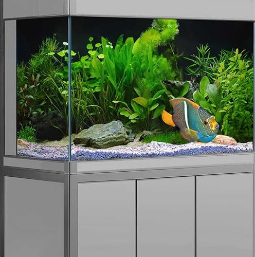 Hintergrund für Wasserpflanzen, Grünes Seegras See Fluss Bett Fisch Tank Hintergrund Tuch Wasserpflanzen Aquarium Dekorationen Schwarzer Hintergrund, 122 x 61 cm Polyester Terrarium Hintergrund von DeeCabin