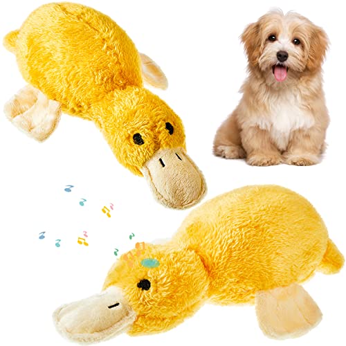 2 Pcs Pet Supplies Plüsch Hundespielzeug Machen Sound Hund Ente Spielzeug Gelbe Ente Spaß Interaktives Kauspielzeug für Hund Welpen Nette Haustier Spielzeug Ente von Deekin