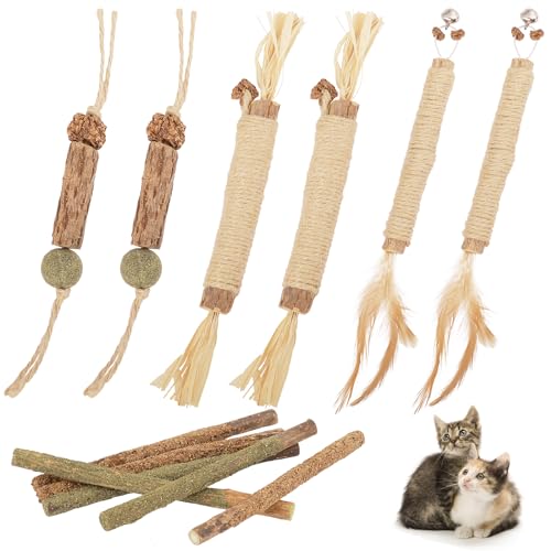 Deetenks 12er Pack Natürliche Silberweinsticks Katzenkau-Spielzeug zur Zahnreinigung Matatabi Kau-Sticks für Katzenkätzchen von Deetenks