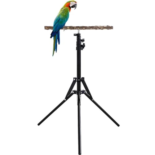 Deewar Vogelsitzstange – Verstellbare 40–157 cm Höhe Papageienständer, Naturholz Papageien-Sitzstange, Spielzeug für Papageien, Naturholz, Vogelsitzstange, Vogel-Trainings-Sitzstange für drinnen und von Deewar