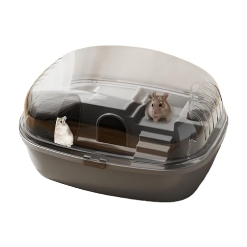 Hamsterkäfig – Zwerghamsterkäfig klein | 35 x 27 x 27 x 20 cm Hamster-Tragetasche, Hamster-Tragetasche, transparenter lustiger & interaktiver Rennmauskäfig inkl. Laufrad für Zwerghamster von Deewar