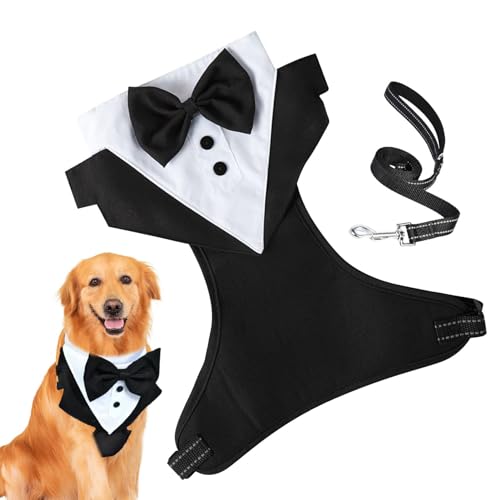 Hunde-für kleine Hunde, Hunde-Hochzeitsoutfit - Hochzeitskleidung, Fliege-Anzug mit Zugseil | Formaler für Hunde, Hundeoutfit, formelle Haustierkleidung, Haustierkostüm für formelle Anlässe von Deewar