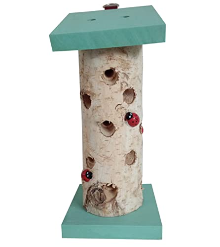 Dehner Natura Premium Marienkäferhaus Ladybird, Insektenhaus / Nistkasten für Marienkäfer, Ø 10 cm, Höhe 24 cm, Birkenholz, türkis / beige von Dehner