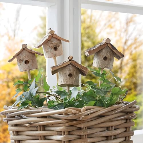 Dekoleidenschaft 4 Dekostecker Vogelhäuschen aus Holz, Natur, Stecker für Adventskranz, Gesteck & Blumentopf, Blumenstecker von Dekoleidenschaft