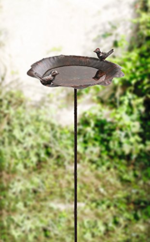Dekoleidenschaft Vogeltränke Piepmatz aus Metall in Rost-Optik, Gartenstecker mit 2 Vögelchen, Wasserstelle, Garten-Deko, Dekostecker für Draußen von Dekoleidenschaft