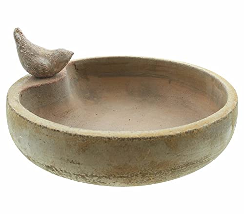 Dekoleidenschaft Vogeltränke aus Terracotta, 32x8 cm, im Antik-Look mit Zier-Vogel, Futterstelle, Vogelbad, Wassertränke, Wasserschale, Garten-Deko für Draußen, Vogelbecken, Vogelfutterstation von Dekoleidenschaft