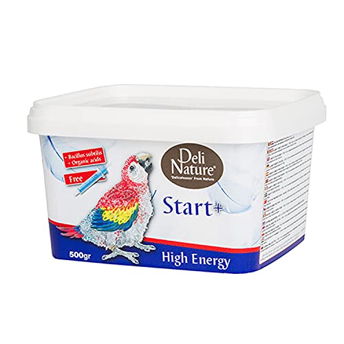 Beyers DELINATURE Spritzpaste Start+ High Energy - 500 g, Vögel von Deli Nature