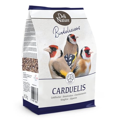 Birdelicious Zeisig von Deli Nature