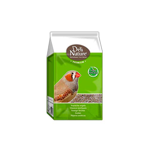 Deli Nature EXOTEN Vogel-Futter Tropische Vögel Premium 1 kg von Deli Nature