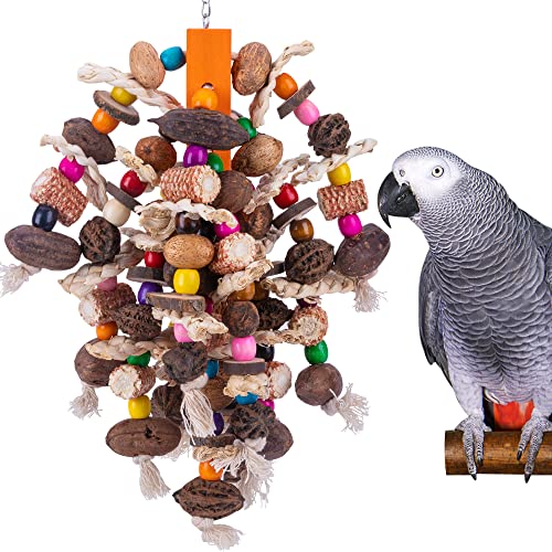 Deloky Großer Papageienvogel-Kauspielzeug, natürliche Nüsse, Maispapageien, reißendes Spielzeug, Holz, Vogelkäfig, Spielzeug für afrikanische Grau, Kokatoos, Amazon-Papageien und andere große Vögel von Deloky