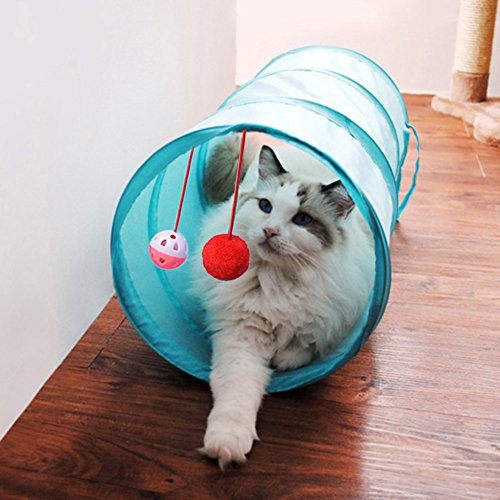 Demiawaking Home Cat Tunnel Faltbare Spielzeug Zwei Bälle Interaktives Spielzeug für Katze (Hellblau) von Demiawaking