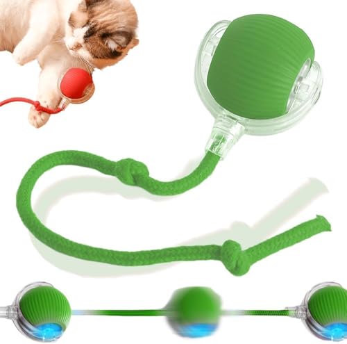 Demiawaking Interaktives Katzenball Katzenspielzeug, automatisch rollender Ball, wiederaufladbar, Selbstbeschäftigung Katzenspielzeug, Elektrisch Katzenball Spielzeug für Katzen Hunde (Grün) von Demiawaking