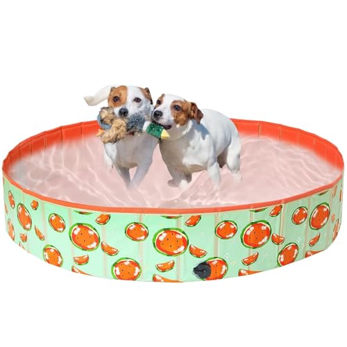 Demigreat Hundepool fur Große Kleine Hunde,80/120/ 160CM Faltbar Hunde Planschbecken, Tragbar & Eco-Friendly PVC Hunde Pool, Wassermelone von Demigreat