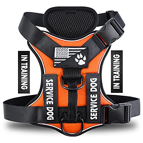 Demigreat Service Dog Harness, Reflective Dog Vest Harness with 5PCS Patches, Adjustable Soft Oxford Pet Harness, Inner Layer Mesh, Easy to Control for Small Medium Large Dogs, X-Small (1 Stück) von Demigreat