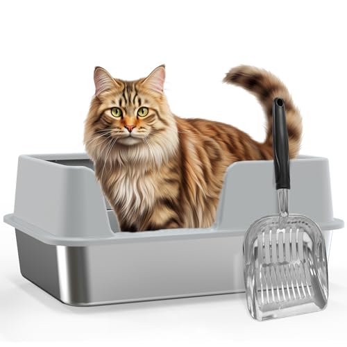 Demiwise Edelstahl-Katzentoilette mit Edelstahl-Katzentoilette, stabile hochseitige Metall-Katzentoilette, große Katzentoilette für große Katzen und Kätzchen, Nicht klebrig, leicht zu reinigen, von Demiwise