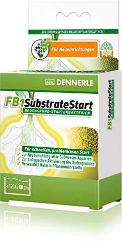 Dennerle 4481 FB1 SubstrateStart Bodengrund Starter-Bakterien für Aquarienpflanzen, 50g von Dennerle