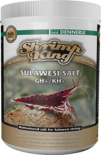 Dennerle 6151 Shrimp King Sulawesi Salt, 1000 g von Dennerle