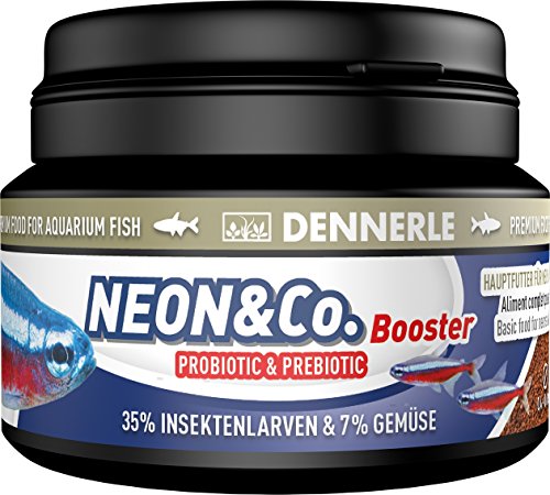Dennerle Neon & Co. Booster - ausgewogenes Futter für kleine Zierfische von Dennerle