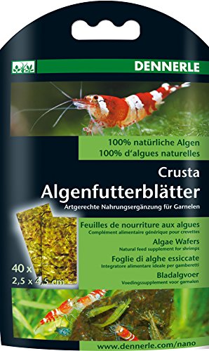 Dennerle Nano Algenfutterblätter, 3er Pack (3 x 3,5 g) für Garnelen, Futterblätter, Aquarium Food, Aquarianer von Dennerle