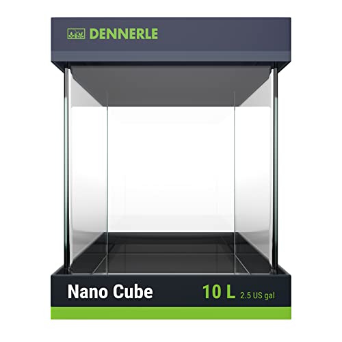 Dennerle Nano Cube 10 Liter - 20 x 20 x 25 cm Mini Aquarium von Dennerle