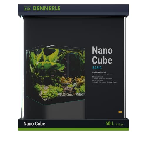 Dennerle Nano Cube Basic, 60 Liter - Mini Aquarium mit Abgerundeter Frontscheibe von Dennerle