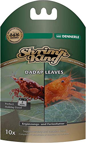 Dennerle Shrimp King Dadap Leaves - Premium Laubfutter für Garnelen und Krebse (10 Stück) von Dennerle