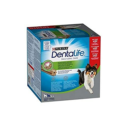 Dentalife Purina Daily Oral Care Medium, Zahnsnack, Leckerbissen für mittelgroße Hunde, 42 Sticks von Dentalife