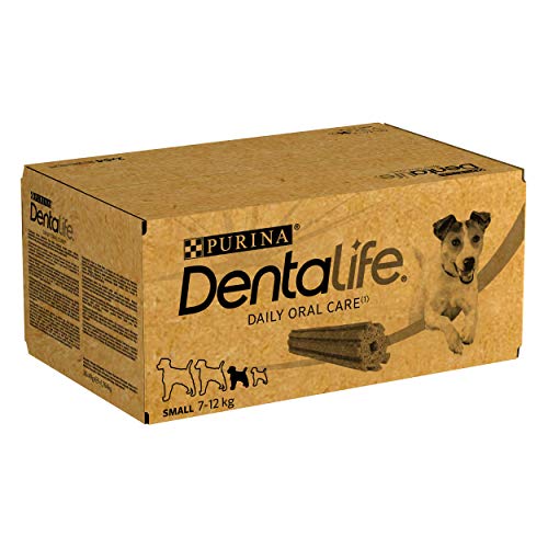 Dentalife Purina Daily Oral Care Small, Snack für kleine Hunde, Mini, 2 Packungen mit 54 Sticks, 108 Sticks von Dentalife