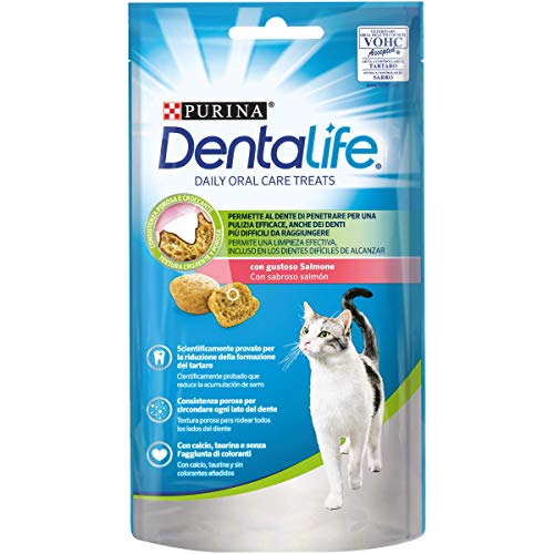 Purina Dentalife Snack Katzen Lachs, 8 Packungen à 40 g von Dentalife