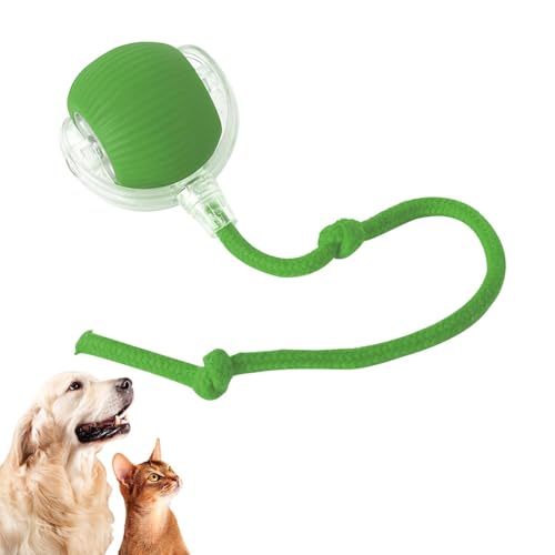 Chewie Viral Rolling Ball, Chewie Ball für Katzen Hunde, Interaktives Smart Ball Spielzeug für Katzen Hunde, Chewie Doggie Ball, 360° Smart Automatic Rolling Ball für Große und Kleine Katzen Hunde von Deojtga