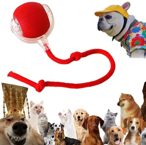 Chewie Viral Rolling Ball, Chewie Ball für Katzen Hunde, Interaktives Smart Ball Spielzeug für Katzen Hunde, Chewie Doggie Ball, 360° Smart Automatic Rolling Ball für Große und Kleine Katzen Hunde von Deojtga