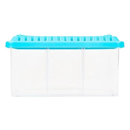 Deojtga Betta Aquarium, Schreibtisch-Aquarium,Durchsichtiges Behälter-Fischaquarium mit herausnehmbaren Trennwänden - Kleine Fischschale mit Mehreren Fächern, dekoratives Aquarium-Starter-Set für von Deojtga