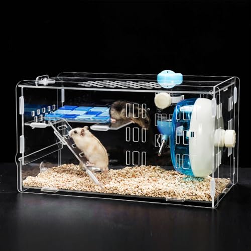 Hamsterkäfig, Acryltransparent Zwerg Hamster Lebensraum Kleines Tierweg mit Trainingsrad Hamster Gehege Mauskäfig für Hamstern Mäuse, Tierreiseträger von Depisuta