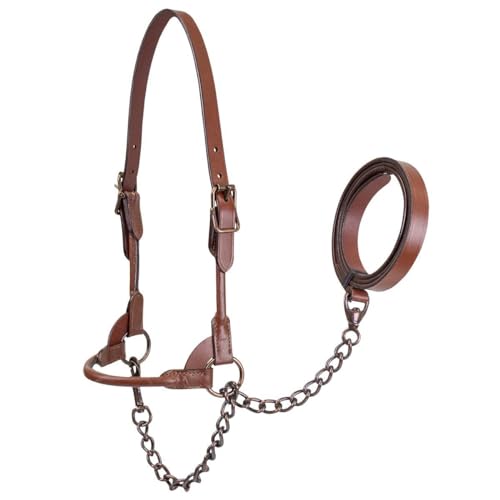 Derby Originals Bronze Beauty Premium Rinderhalfter aus gerolltem Leder, mit passender Kette von Derby Originals