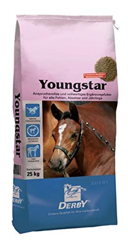 Derby Youngstar 25 kg von Derby